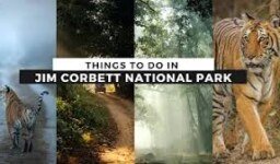 Best Things To Do In Jim Corbett