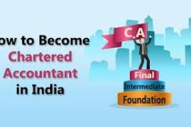 The Ultimate Guide to Becoming a Successful Chartered Accountant