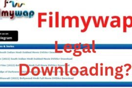 Filmywap: Is Downloading Movies from Filmywap Legal?